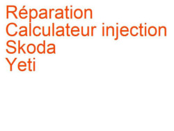 Calculateur injection Skoda Yeti (2009-2017)