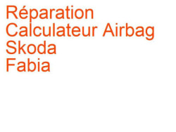 Calculateur Airbag Skoda Fabia 1 (1999-2007)