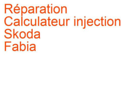 Calculateur injection Skoda Fabia 1 (1999-2007)