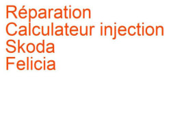 Calculateur injection Skoda Felicia (1994-1998) phase 1