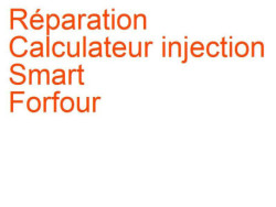 Calculateur injection Smart Forfour 1 (2004-2006) [454]