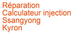 Calculateur injection Ssangyong Kyron (2006-2012)