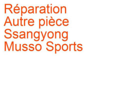 Autre pièce Ssangyong Musso Sports (1993-2005)