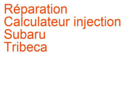 Calculateur injection Subaru Tribeca (2005-2014)