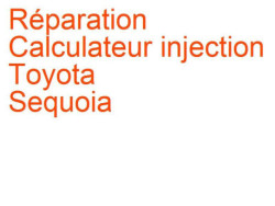Calculateur injection Toyota Sequoia (2000-2007)