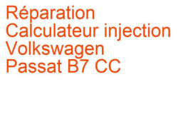 Calculateur injection Volkswagen Passat B7 CC (2011-2015) [35]