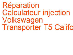 Calculateur injection Volkswagen Transporter T5 California (2003-2015)