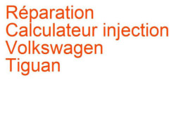 Calculateur injection Volkswagen Tiguan 1 (2007-2016)