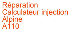 Calculateur injection Alpine A110 (1962-1977)