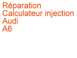 Calculateur injection Audi A6 (1997-2004) [C5]