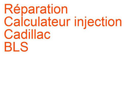Calculateur injection Cadillac BLS (2006-2010)
