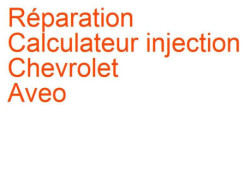 Calculateur injection Chevrolet Aveo (2002-2011)