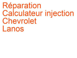 Calculateur injection Chevrolet Lanos (1997-2005)