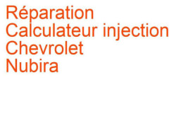 Calculateur injection Chevrolet Nubira (2002-2009)