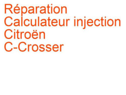 Calculateur injection Citroën C-Crosser (2007-2012)