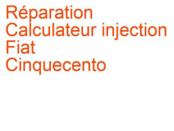 Calculateur injection Fiat Cinquecento (1991-1998) [170]