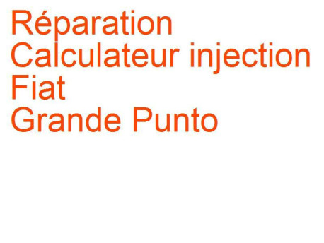 Calculateur injection Fiat Grande Punto (2005-2009) [199] phase 1 Magneti Marelli IAW5SF3.M2