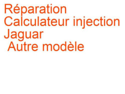 Calculateur injection Jaguar Autre modèle