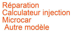 Calculateur injection Microcar Autre modèle
