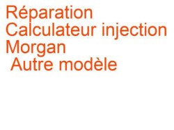 Calculateur injection Morgan Autre modèle