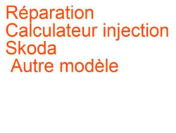 Calculateur injection Skoda Autre modèle