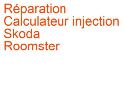 Calculateur injection Skoda Roomster (2006-)