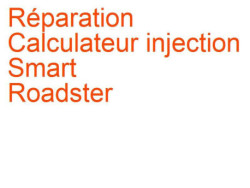 Calculateur injection Smart Roadster (2002-2007) [452]