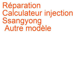 Calculateur injection Ssangyong Autre modèle