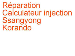 Calculateur injection Ssangyong Korando 2 (1996-2006) [KJ]
