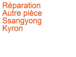 Autre pièce Ssangyong Kyron (2006-2012)