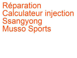 Calculateur injection Ssangyong Musso Sports (1993-2005)