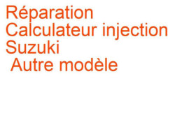 Calculateur injection Suzuki Autre modèle