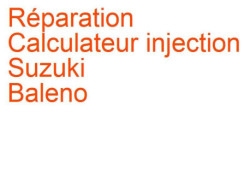 Calculateur injection Suzuki Baleno 1 (1995-2002) [EG]