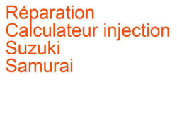 Calculateur injection Suzuki Samurai (1995-1998)