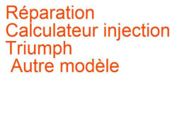 Calculateur injection Triumph Autre modèle
