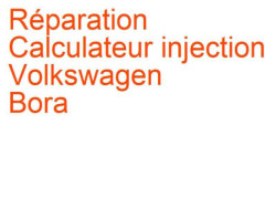 Calculateur injection Volkswagen Bora (1998-2005) [1J2 1J6]