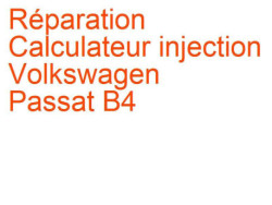 Calculateur injection Volkswagen Passat B4 (1993-1996) [3A]