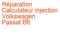 Calculateur injection Volkswagen Passat B6 (2005-2010)
