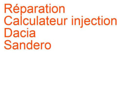 Calculateur injection Dacia Sandero 1 (2007-2012)