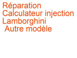 Calculateur injection Lamborghini Autre modèle