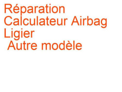 Calculateur Airbag Ligier Autre modèle