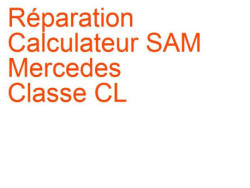 Calculateur SAM Mercedes Classe CL (1999-2005) [C215]