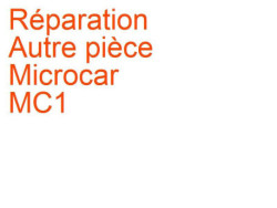 Autre pièce Microcar MC1 (2003-2006)