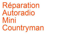 Autoradio Mini Countryman (2010-2017) [R60]
