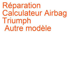 Calculateur Airbag Triumph Autre modèle