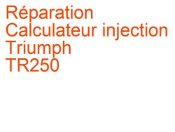 Calculateur injection Triumph TR250 (1967-1969)