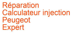 Calculateur injection Peugeot Expert 1 (1995-2004) phase 1
