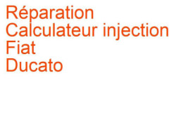 Calculateur injection Fiat Ducato 3 (2006-) [250]