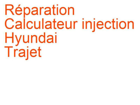 Calculateur injection Hyundai Trajet (2000-2008) [FO]