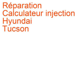 Calculateur injection Hyundai Tucson 1 (2004-2009)